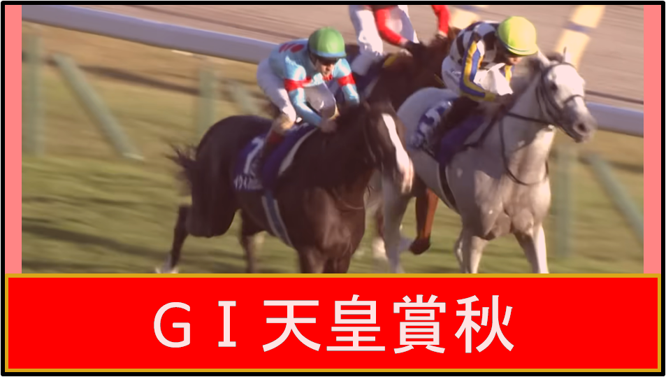 23天皇賞秋
