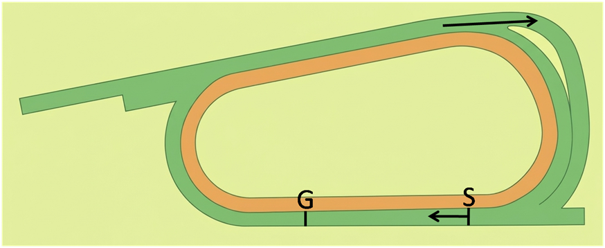 京都芝2200m